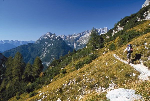 Slovene Mountain Trail, the | wandelgids 9781786310200 Justi Carey and Roy Clark Cicerone Press   Meerdaagse wandelroutes, Wandelgidsen Slovenië