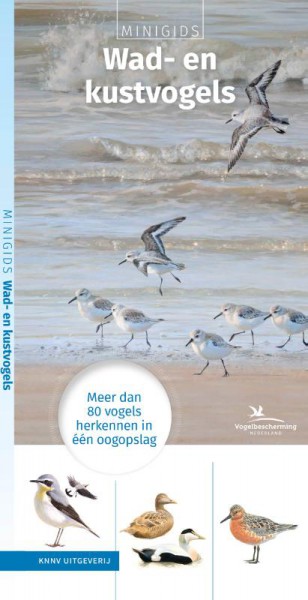 Minigids Wad- en Kustvogels 9789050116916 illustraties van Elwin van der Kolk KNNV   Natuurgidsen, Vogelboeken Nederland