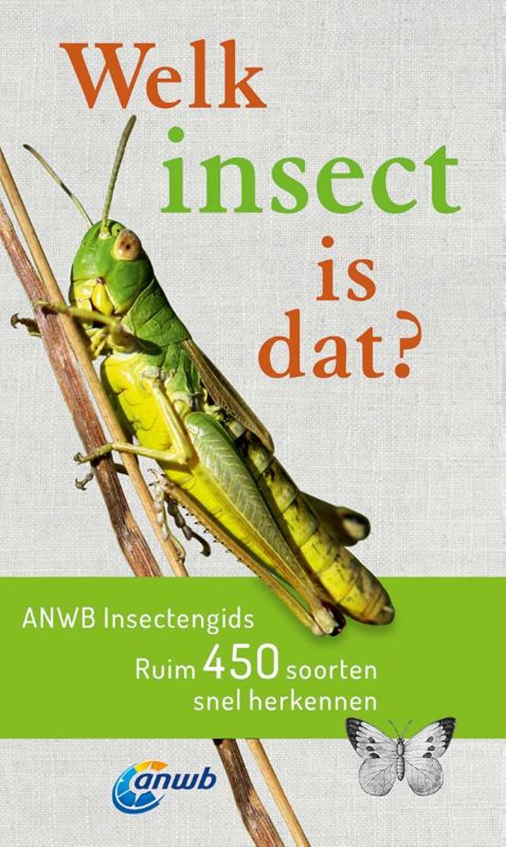 Welk insect is dat? | ANWB insectengids 9789021572611  Kosmos ANWB Natuur  Natuurgidsen Europa