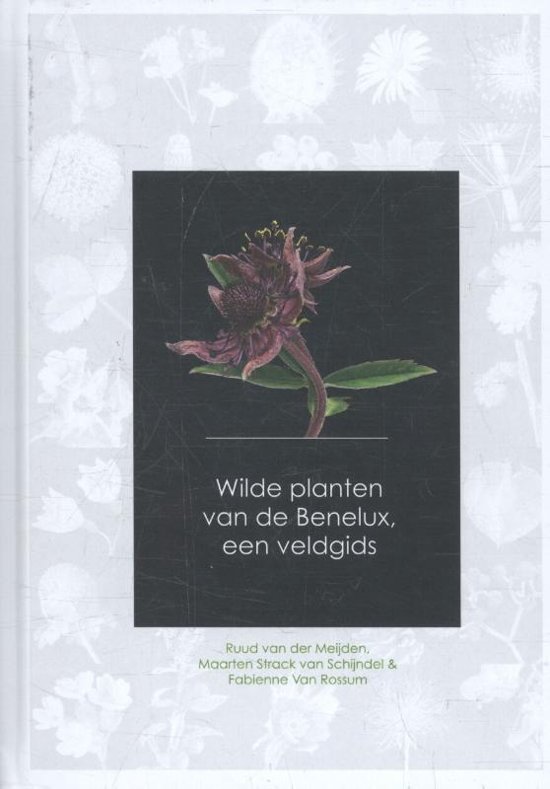 Wilde Planten van de Benelux - een veldgids 9789082451139 Ruud van der Meijden, Strack v Schijndel, et.al Agora / Plantentuin Meise   Natuurgidsen, Plantenboeken Benelux