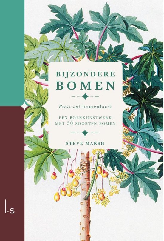 Bijzondere Bomen | Steve Marsh 9789024583928 Steve Marsh Luitingh - Sijthoff   Natuurgidsen, Plantenboeken Wereld als geheel