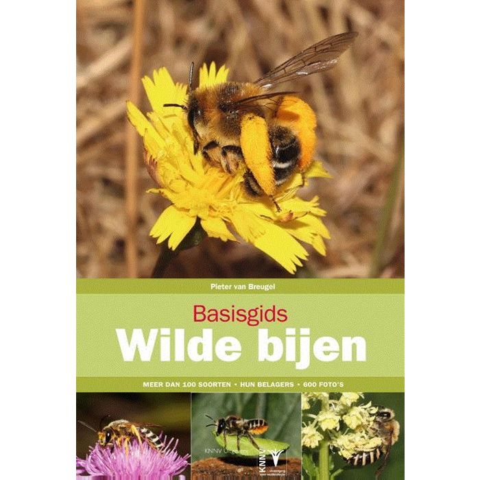 Basisgids Wilde Bijen 9789050116848 Pieter van Breugel KNNV Basisgidsen  Natuurgidsen Europa