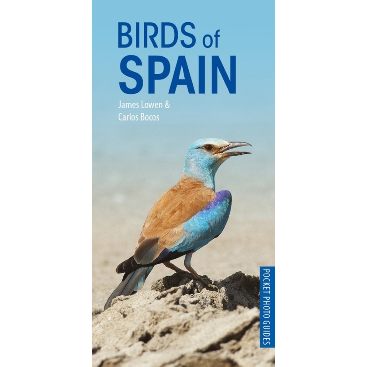 Birds of Spain | vogelgids Spanje 9781472949271  Bloomsbury   Natuurgidsen, Vogelboeken Spanje