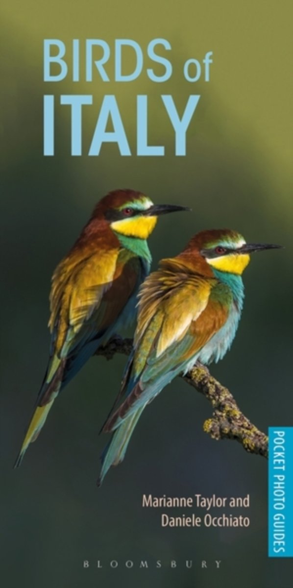 Birds of Italy | vogelgids Italië 9781472949820 Marianne Taylor, Daniele Occhiato Bloomsbury   Natuurgidsen, Vogelboeken Italië