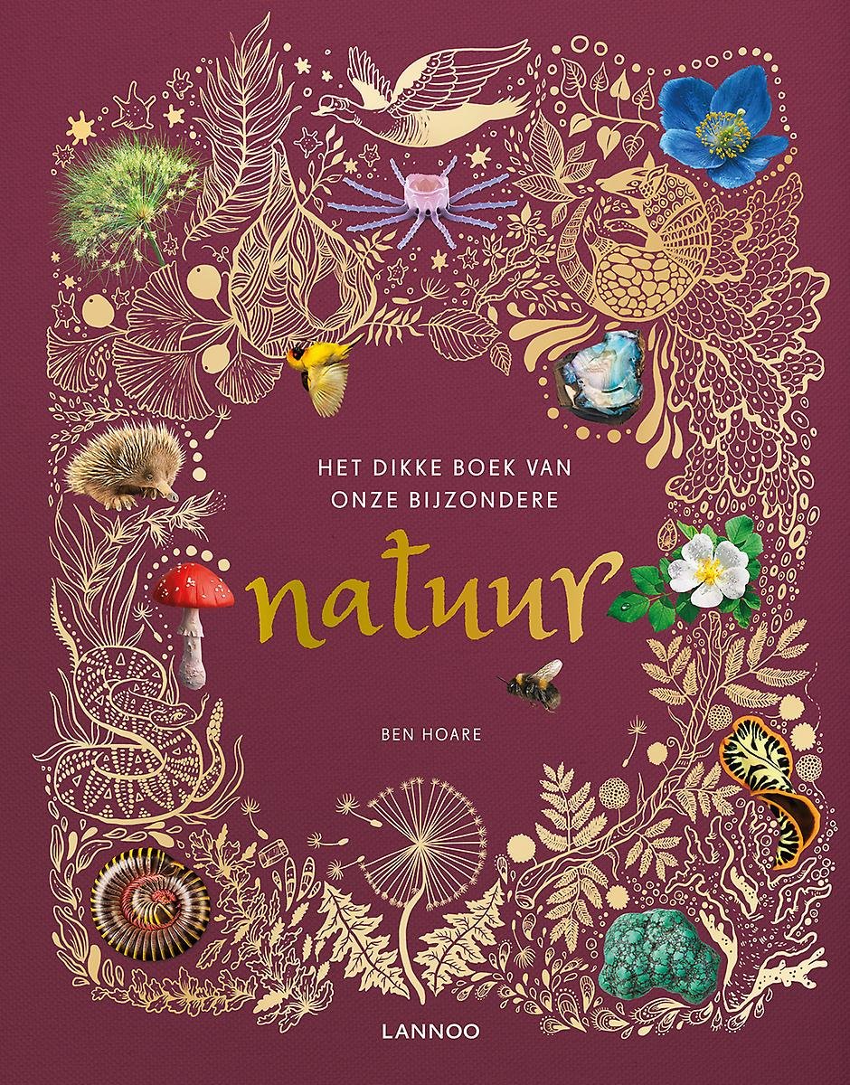 Het dikke boek van onze bijzondere natuur 9789401464246 Ben Hoare Lannoo   Kinderboeken, Natuurgidsen Reisinformatie algemeen