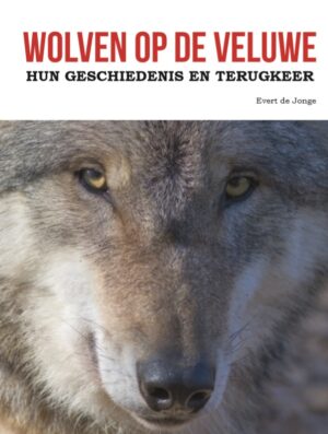 Wolven op de Veluwe | Evert de Jonge 9789491826634 Evert de Jonge Uitgeverij Gelderland   Natuurgidsen Arnhem en de Veluwe