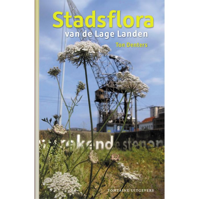 Stadsflora van de Lage Landen 9789059569737 Ton Denters Fontaine   Natuurgidsen, Plantenboeken Nederland