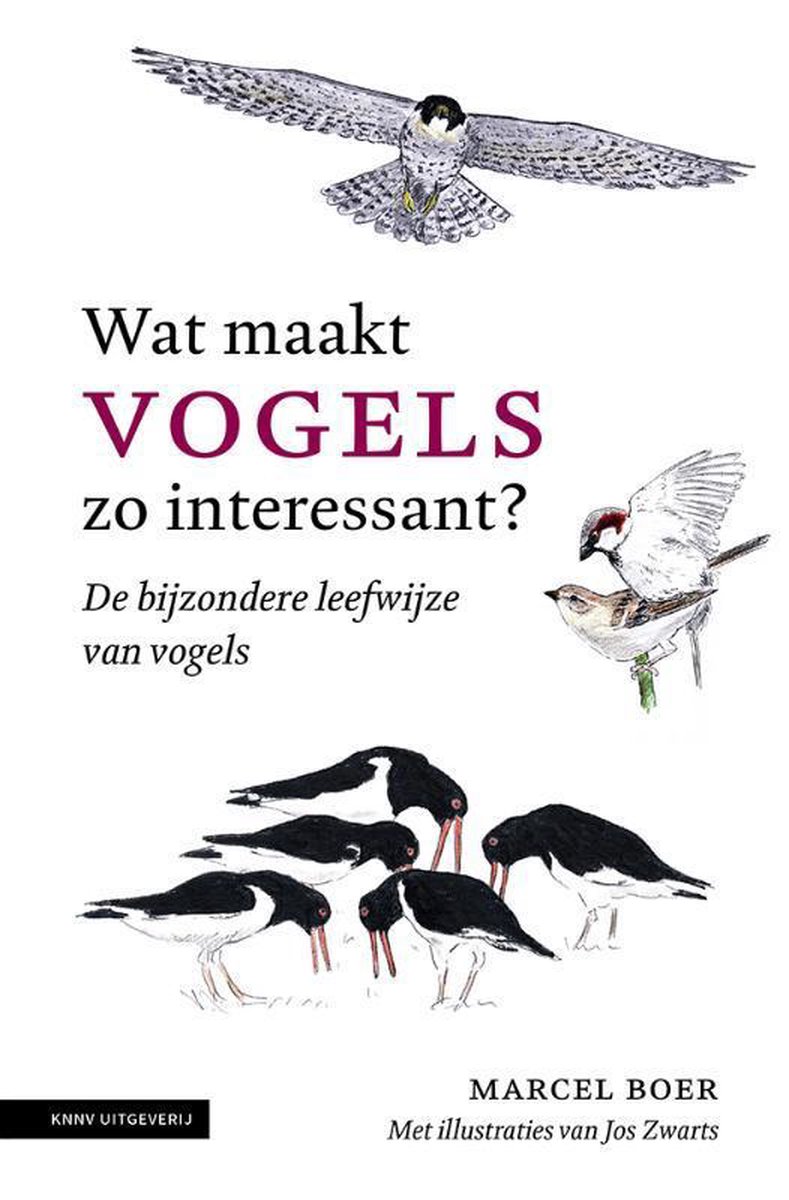 Wat maakt vogels zo interessant? 9789050117500 Marcel Boer KNNV   Natuurgidsen, Vogelboeken Reisinformatie algemeen