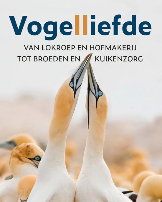 Vogelliefde 9789021575919 Vogelbescherming Nederland Kosmos   Natuurgidsen, Vogelboeken Reisinformatie algemeen