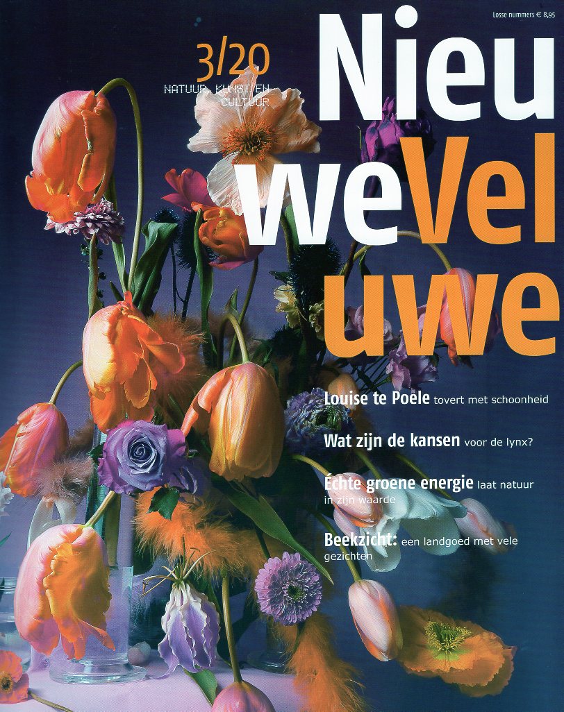 tijdschrift Nieuwe Veluwe 20/3 herfst 2020 TNV203  Nieuwe Veluwe Tijdschriften  Landeninformatie Arnhem en de Veluwe