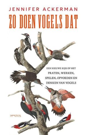 Zo doen vogels dat 9789044645910  Prometheus   Natuurgidsen, Vogelboeken Reisinformatie algemeen