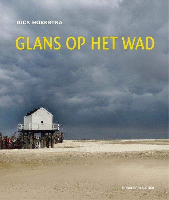 Glans op het wad | Dick Hoekstra 9789056154981 Dick Hoekstra Noordboek   Historische reisgidsen, Landeninformatie Waddeneilanden en Waddenzee