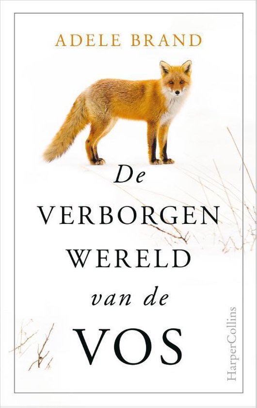 De verborgen wereld van de vos 9789402705546  HarperCollins Holland   Natuurgidsen Europa