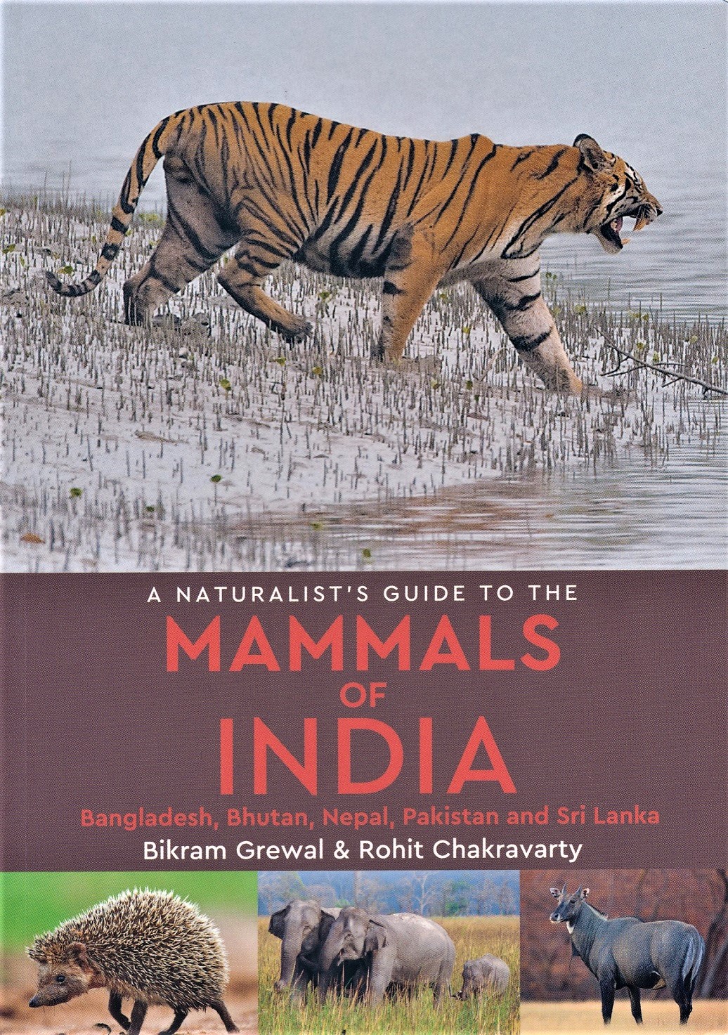 A naturalist's guide to the mammals of India 9781909612808  John Beaufoy Publications   Natuurgidsen Zuid-Azië