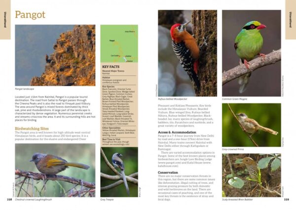 The 100 Best Birdwatching Sites in India 9781912081790 Bikram Grewal en Bhanu Singh Joh Beaufoy Publishing   Natuurgidsen, Vogelboeken India