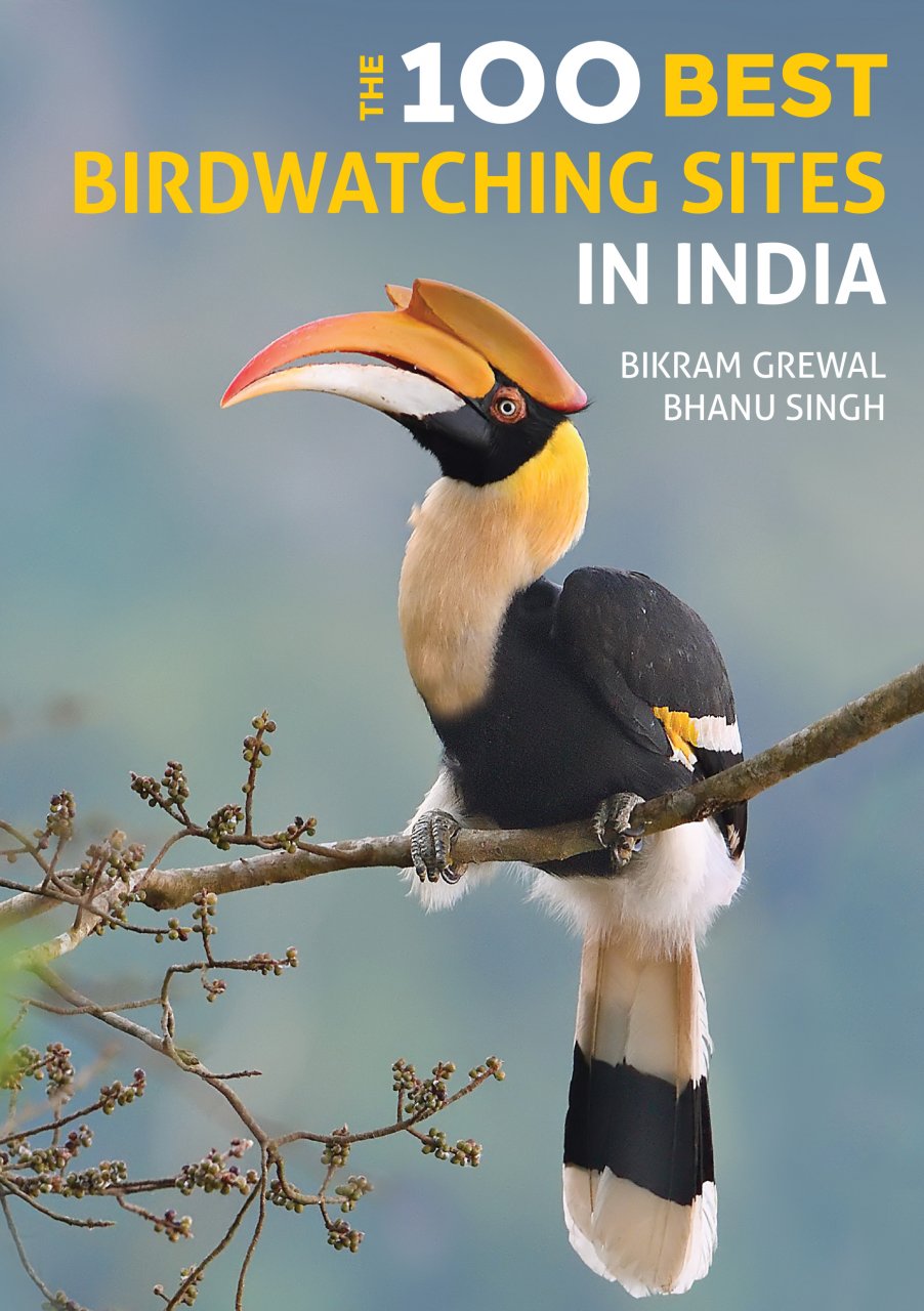 The 100 Best Birdwatching Sites in India 9781912081790 Bikram Grewal en Bhanu Singh Joh Beaufoy Publishing   Natuurgidsen, Vogelboeken India