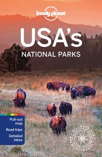 Lonely Planet USA National Parks * 9781788688932  Lonely Planet USA National Parks  Reisgidsen Verenigde Staten
