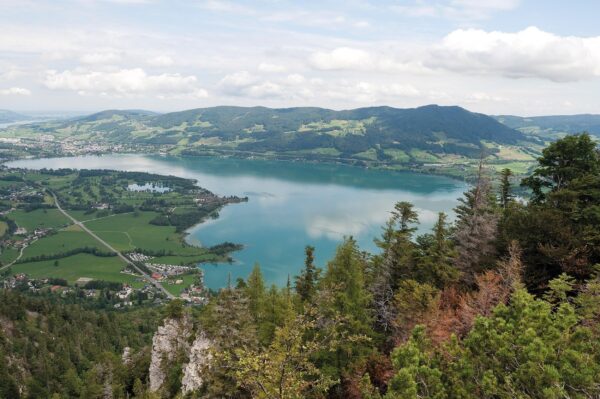 wandelgids Salzkammergut: the Austrian Lake District, Walking in the 9781852849962 Rudolf Abraham Cicerone Press   Wandelgidsen Salzburger Land & Stiermarken