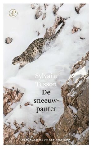 De sneeuwpanter | Sylvain Tesson 9789029542609 Sylvain Tesson Arbeiderspers   Bergsportverhalen, Reisverhalen & literatuur Tibet