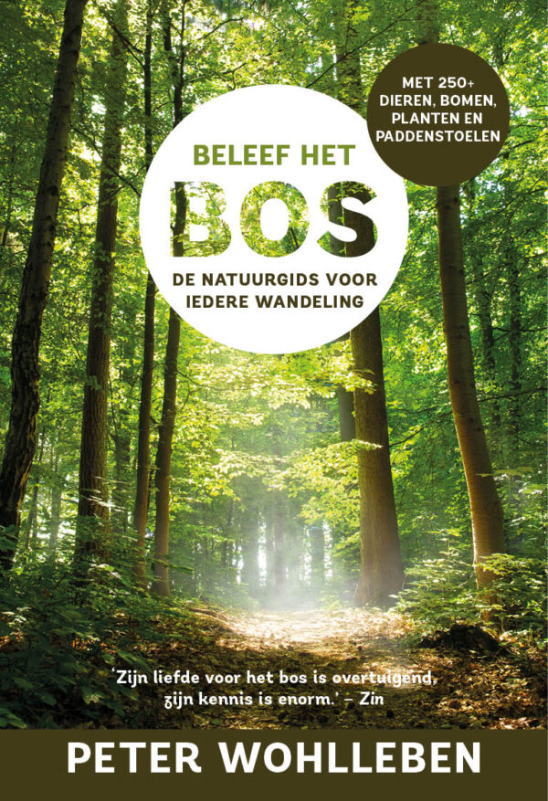 Beleef het Bos | Peter Wohlleben 9789024594801 Peter Wohlleben Luitingh - Sijthoff   Natuurgidsen, Wandelgidsen Europa