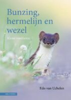 Bunzing, hermelijn en wezel: kleine roofdieren 9789050118200 Edo van Uchelen KNNV   Natuurgidsen Nederland