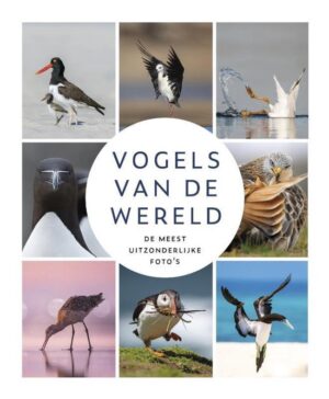 Vogels van de wereld 9789021584775 Ruiterman, Erik / Sibley, David Allen Kosmos   Natuurgidsen, Vogelboeken Wereld als geheel