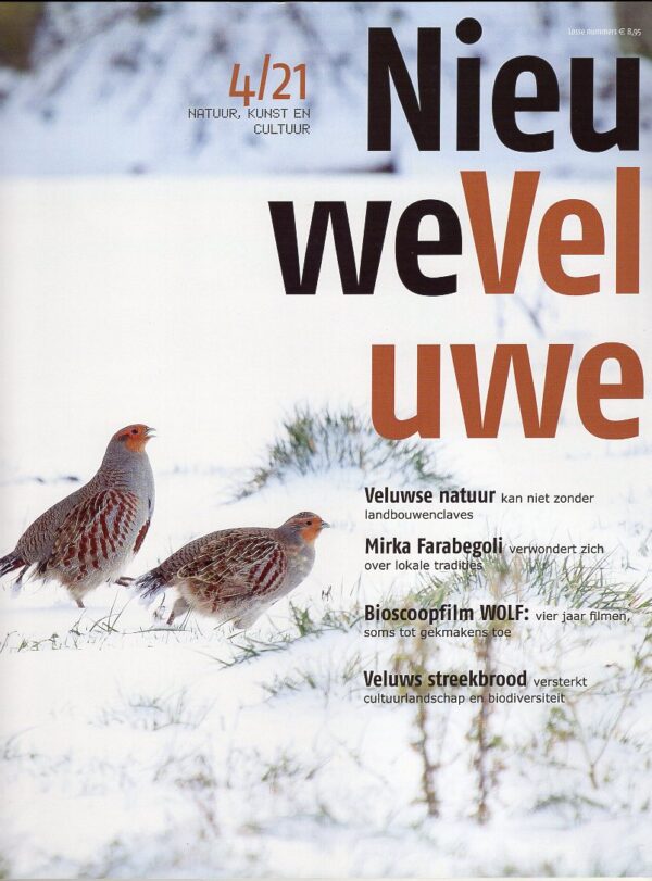 tijdschrift Nieuwe Veluwe | winter 2021/2022 TNV214  Nieuwe Veluwe Tijdschriften  Landeninformatie Arnhem en de Veluwe