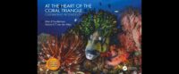 At the Heart of the Coral Triangle 9780367428167 Alan J Powderham, Sancia van der Meij Taylor & Francis Ltd   Natuurgidsen Zeeën en oceanen, Zuid-Oost Azië