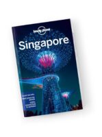 Singapore | Lonely Planet City Guide 9781787016484  Lonely Planet Cityguides  Reisgidsen Singapore
