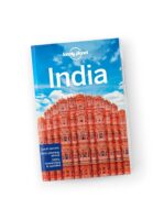 Lonely Planet India 9781788683876  Lonely Planet Travel Guides  Reisgidsen India
