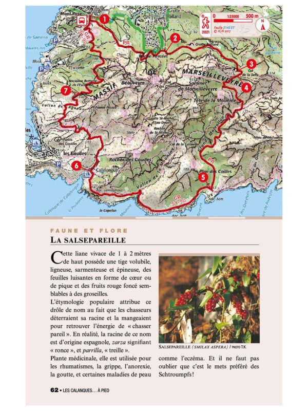 P132  Les Calanques | wandelgids 9782751410949  FFRP Topoguides  Wandelgidsen Provence, Marseille, Camargue