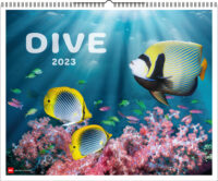 Dive kalender 2023 9783667123312  Delius Klasing Kalenders 2023  Duik sportgidsen, Kalenders Reisinformatie algemeen, Wereld als geheel