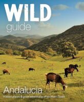 Wild Guide Andalucia 9781910636299  Wild Things Publishing   Reisgidsen Andalusië