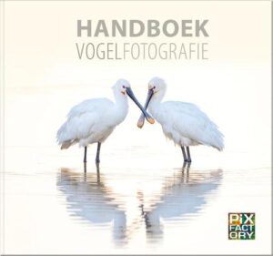 Handboek Vogelfotografie 9789079588374 Daan Schoonhoven Pix Factory Handboeken Natuurfotografie  Fotoboeken, Natuurgidsen, Vogelboeken Reisinformatie algemeen