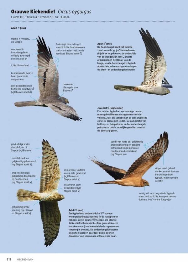 Handboek Europese vogels SET (2 banden) 9789050118521  KNNV   Natuurgidsen, Vogelboeken Europa