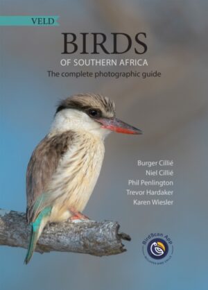 Birds of Southern Africa | vogelgids Zuidelijk Afrika 9781928363125 Cillie Burger New Holland Photogr. Field Guide  Natuurgidsen, Vogelboeken Zuidelijk-Afrika