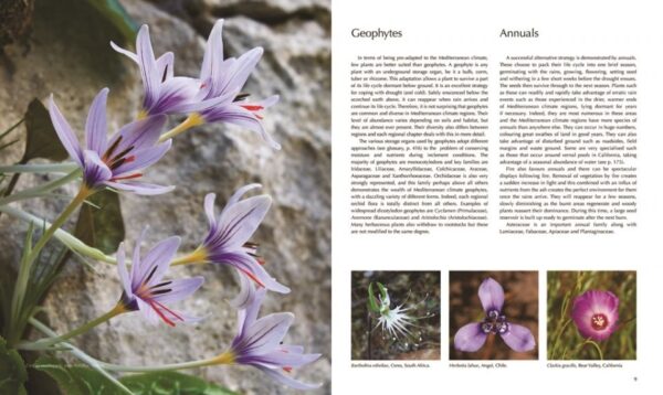 Flora of the Mediterranean : An Illustrated Guide 9781472970268 Christopher Gardner Bloomsbury   Natuurgidsen, Plantenboeken Zuid-Europa / Middellandse Zee