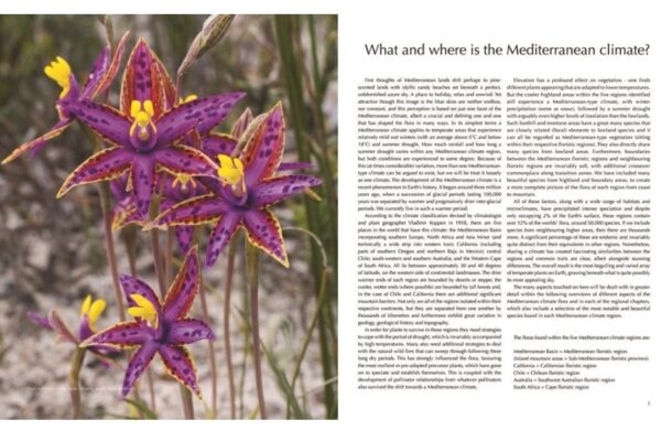 Flora of the Mediterranean : An Illustrated Guide 9781472970268 Christopher Gardner Bloomsbury   Natuurgidsen, Plantenboeken Zuid-Europa / Middellandse Zee