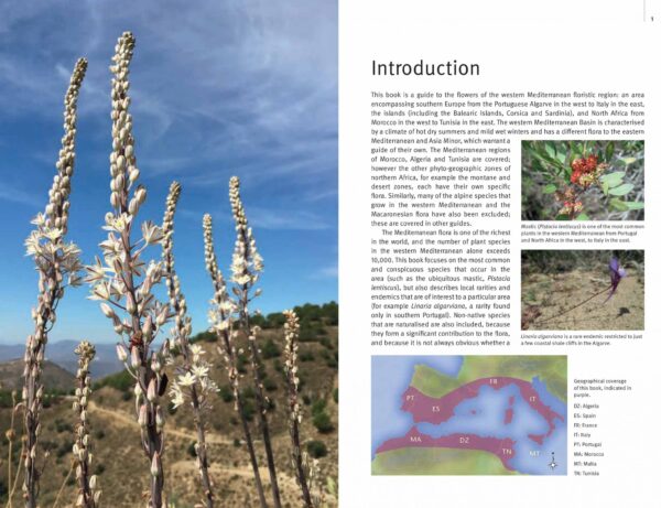 Field Guide to the Wildflowers of the Western Mediterranean 9781842467398  Kew Publishing   Natuurgidsen, Plantenboeken Zuid-Europa / Middellandse Zee