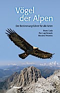 Vögel der Alpen | vogelgids Alpen 9783258075976  Haupt Verlag   Natuurgidsen, Vogelboeken Zwitserland en Oostenrijk (en Alpen als geheel)