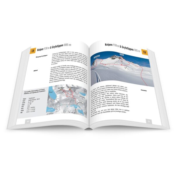 Skiführer - Abenteuer Skitouren - Best of Europa 9783956111198  Panico Verlag Panico Skitourenführer  Wintersport Europa