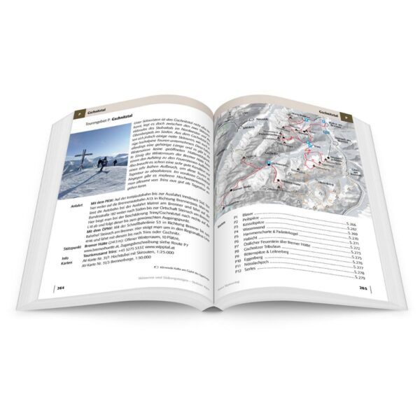 Skitourenführer Stubaier Alpen | skitoerengids 9783956111525 Jan Piepenstock Panico Verlag Panico Skitourenführer  Wintersport Tirol
