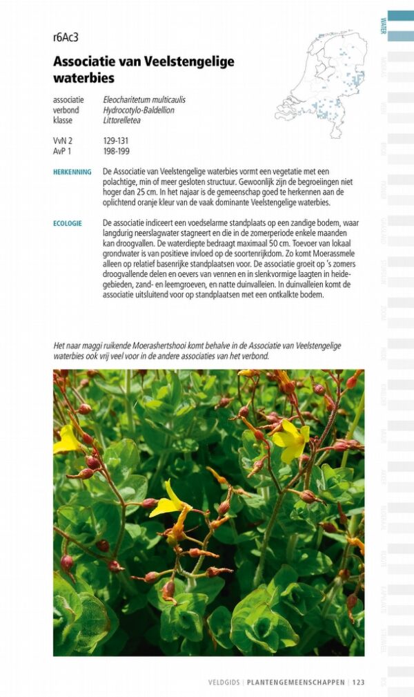 Veldgids Plantengemeenschappen 9789050119207 J Schaminée, K Sýkora, N Smits, M Horsthuis KNNV Veldgidsen  Natuurgidsen, Plantenboeken Nederland