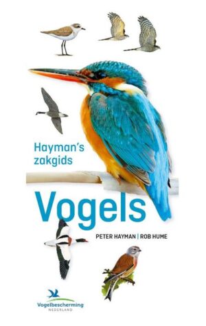 Haymans Zakgids Vogels van Europa 9789043925396 Peter Hayman, Rob Hume Kosmos Zakgidsen natuur  Natuurgidsen, Vogelboeken Europa