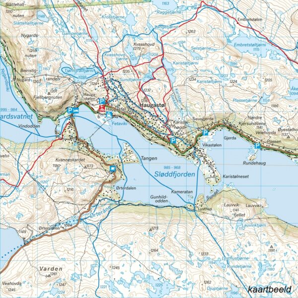 CAL-119  Hardangervidda Nord wandelkaart 1:50.000 9789189371521  Calazo Calazo Noorwegen zuid  Wandelkaarten Zuid-Noorwegen