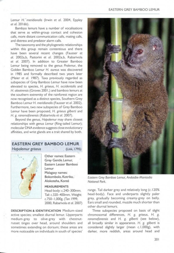 Handbook of Mammals of Madagascar | Nick Garbutt 9781472985934 Nick Garbutt Pica Press   Natuurgidsen Madagascar