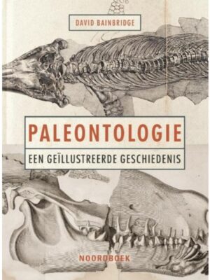 Paleontologie | David Bainbridge 9789056155957 David Bainbridge Noordboek   Historische reisgidsen, Natuurgidsen Wereld als geheel