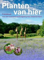 Planten van hier 9789050116695 Ketelaar, Henny KNNV   Natuurgidsen, Plantenboeken Nederland
