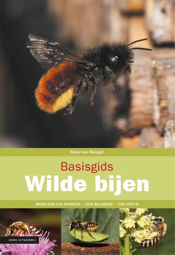 Basisgids Wilde Bijen 9789050117920 Pieter van Breugel KNNV Basisgidsen  Natuurgidsen Europa