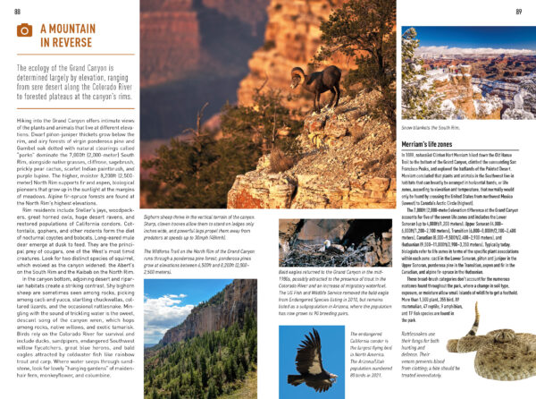 Insight Guide Arizona + the Grand Canyon 9781839053122  Insight Guides (Engels)   Reisgidsen Colorado, Arizona, Utah, New Mexico